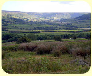 Great Fryup Dale from Oakley Walls